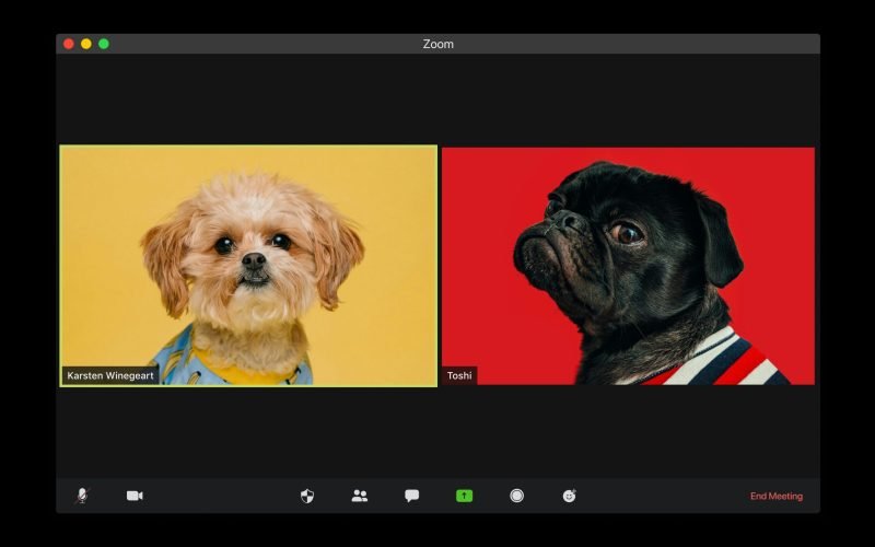 visuals-sW_BS0OVgv0-unsplash